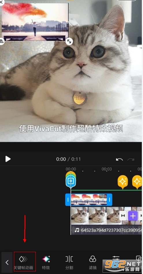 vivacut�����ƽ����Ѱ�
