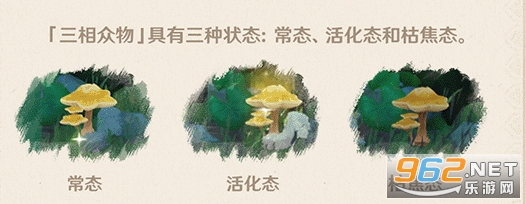 原神须弥解谜攻略 原神须弥解谜大全 原神须弥解谜攻略 原神须弥解谜大全