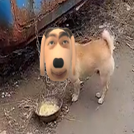 �Ź���v1.0