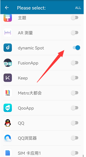 �鶯��Dynamic Island dynamic Spot