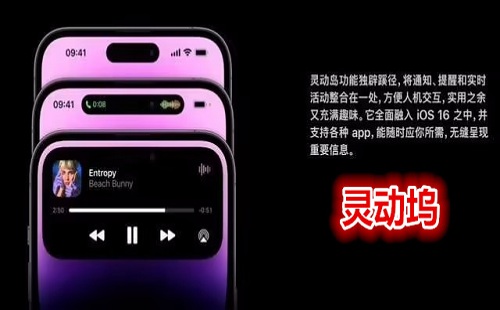 �鶯��app_�鶯�밲׿����_�鶯��app��׿_�ֻ���