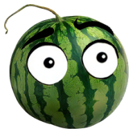 ������־ʦ