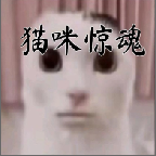 è�侪��