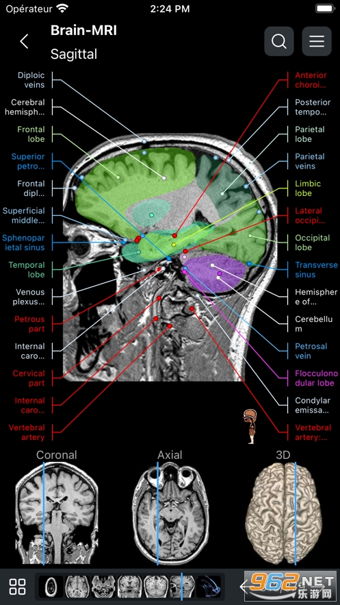 eAnatomy�ٷ�����v7.4.15 ��Ѱ��ͼ3