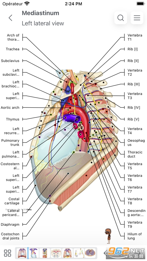eAnatomy�ٷ�����v7.4.15 ��Ѱ��ͼ1