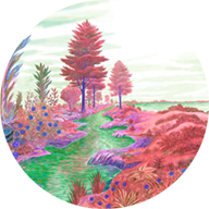 Zoomquilt app