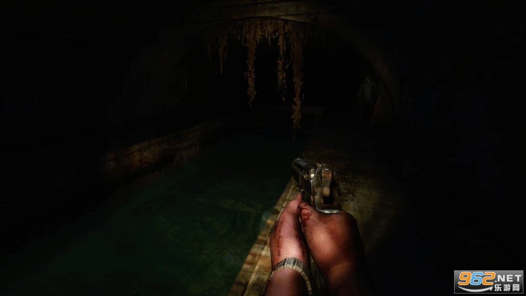 The Fall : Zombie Survival完整版截图0