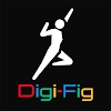 ���Digi-Fig����ģ��