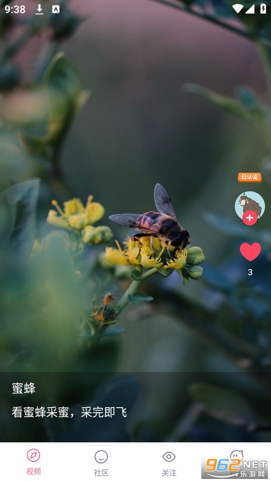 ���˶���Ƶ��������°� v1.3.0��ͼ1