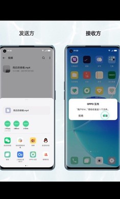 oppo����������װv14.5.0��ͼ0