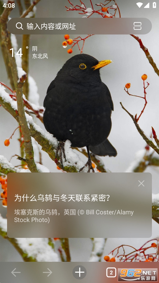 乐感浏览器app截图1
