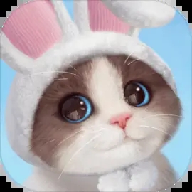 �Һ��ҵ�è�ٷ�����