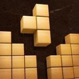 ���˻�ľ����Ϸ������(Lucky Block)