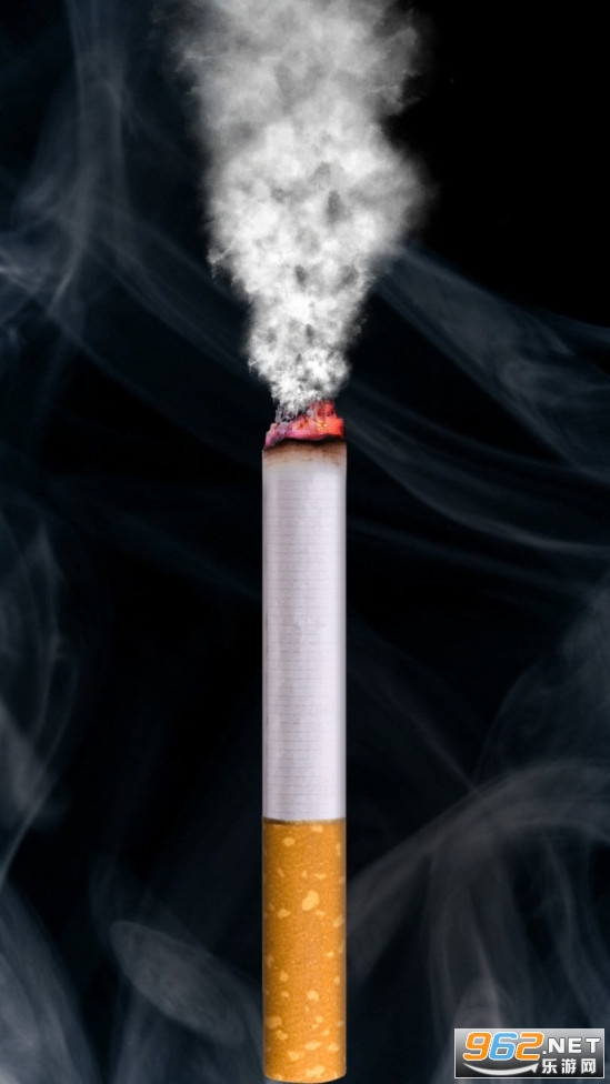 itsmoke虚拟吸烟模拟吸烟软件 itsmoke虚拟吸烟模拟吸烟软件