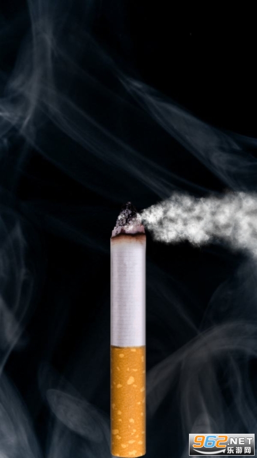��������,���̷̿�v1.3(itsmoke)��ͼ3