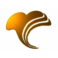 ۰���׷�app���°�2024