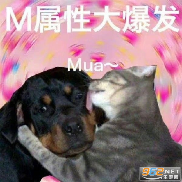 m属性大爆发表情包 m属性大爆发表情包