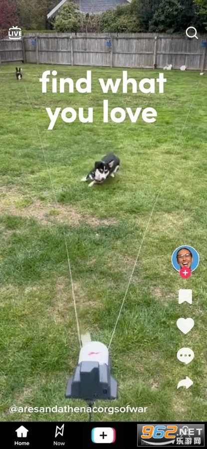 TikTokƻ����