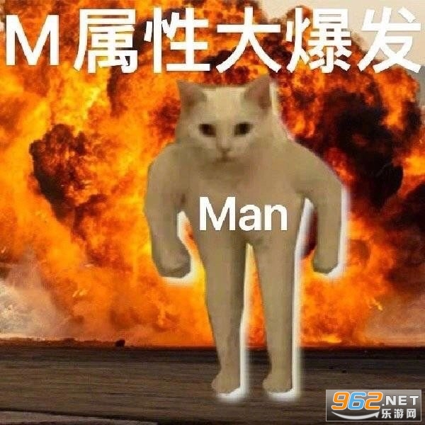 m属性大爆发表情包截图3