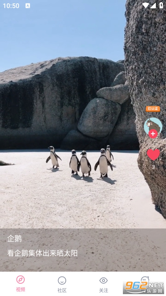���ȶ���Ƶ׬Ǯ(������Ƶ)