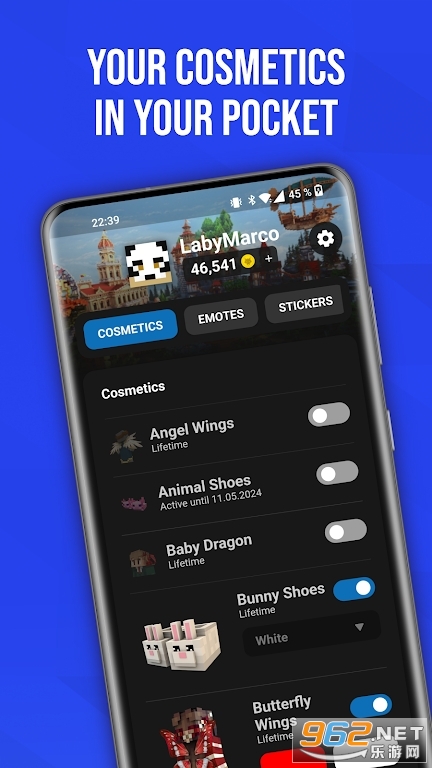 �ҵ�����LabyMod