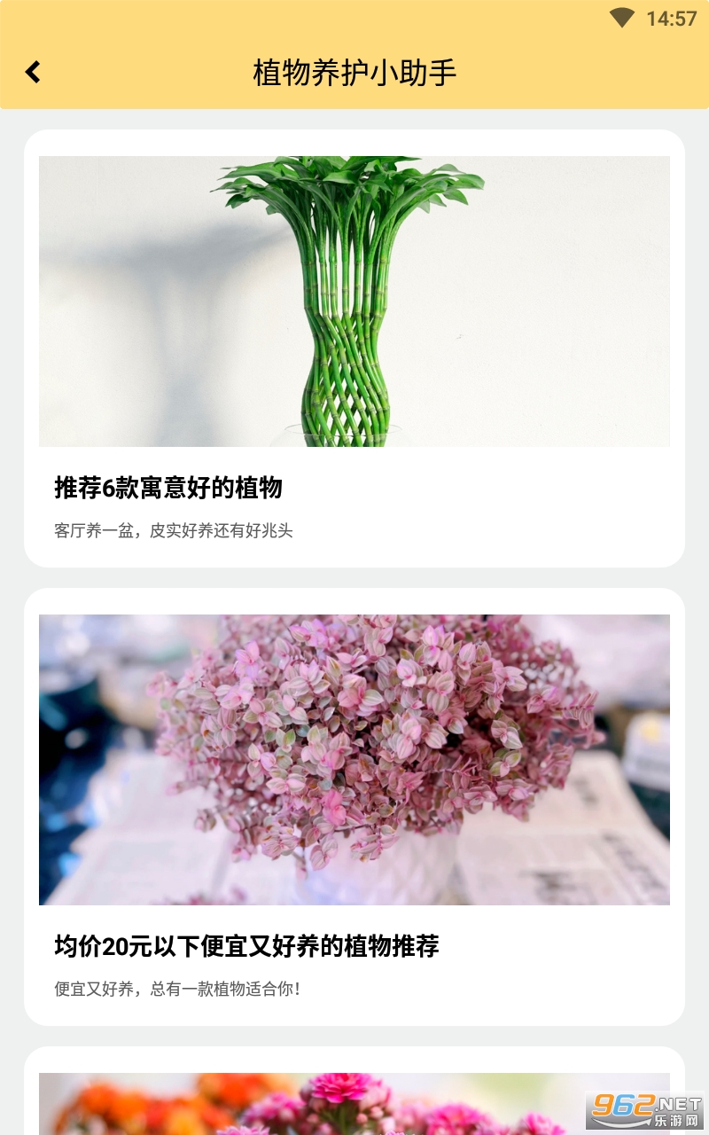 ai��ʶ���ƽ��app�߼���Ա��v1.0.5��ͼ2