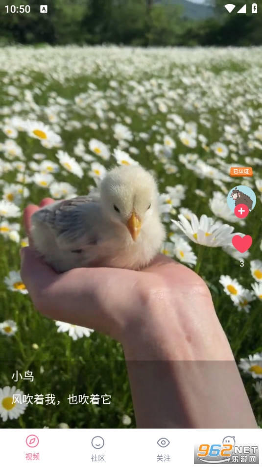 ���ȶ���Ƶ׬Ǯ(������Ƶ)��ͼ0
