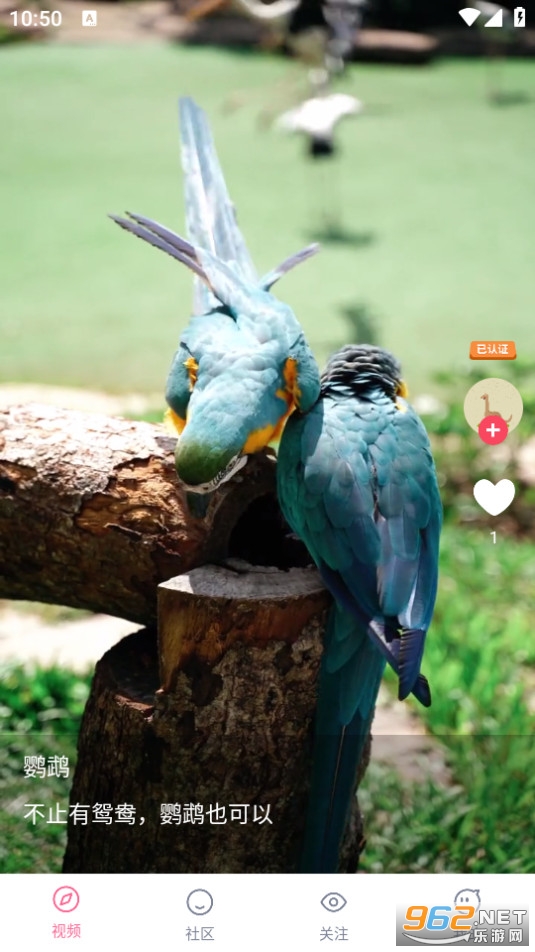 ���ȶ���Ƶ׬Ǯ(������Ƶ)��ͼ7