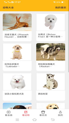 金牌聚看app截图3