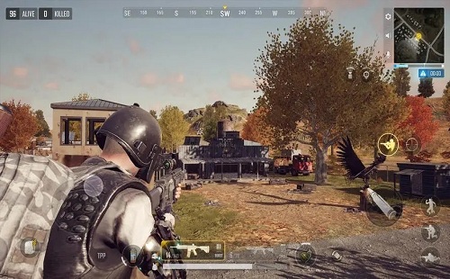 �������_��ƽ��Ӣ���������_pubg�������