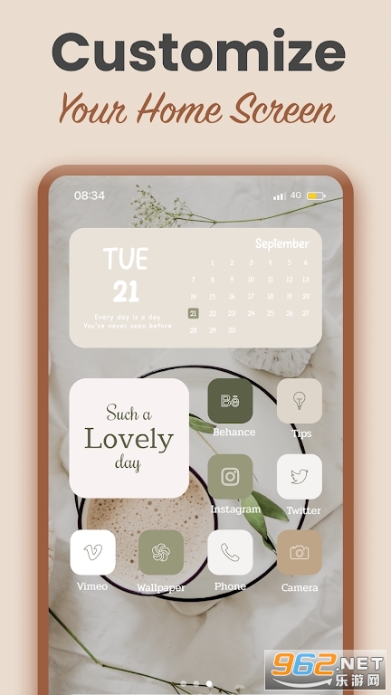 Aesthetic Widgets 2024��ͼ2