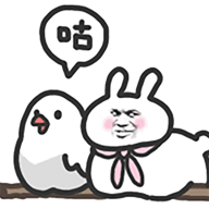 ������app