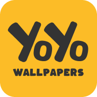 YoYo��ֽ����