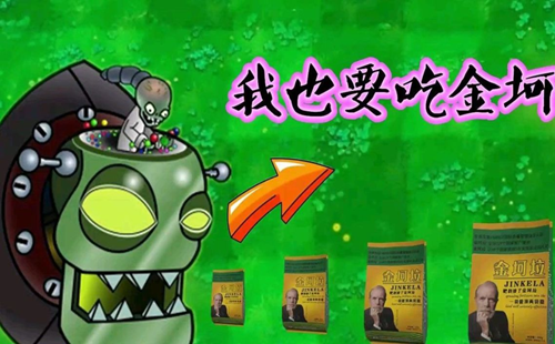 金珂拉植物大战僵尸全版本_无限阳光_无冷却_破解版