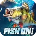 ������Ϸfish on