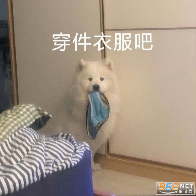 С��������֪��ʲô�ر����