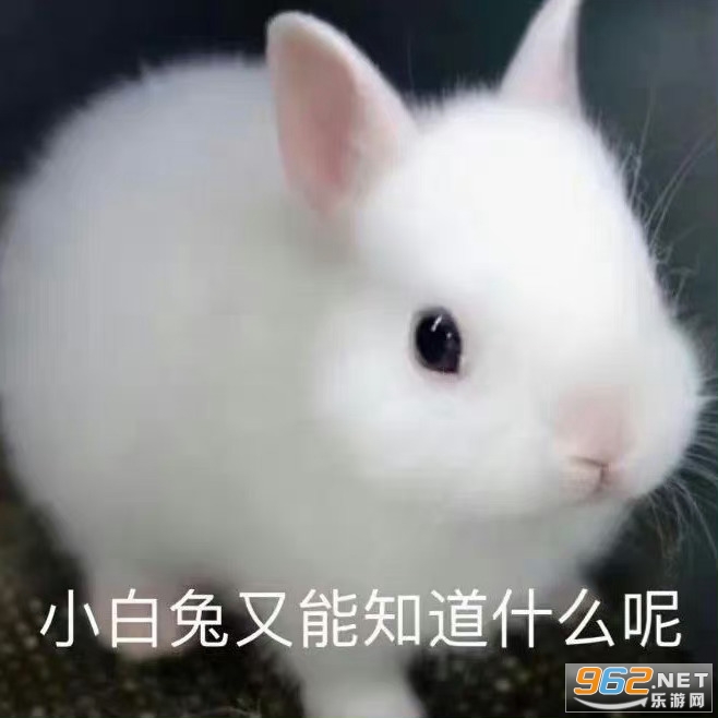 С��������֪��ʲô�ر����