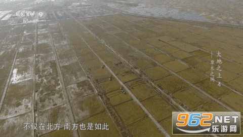 ����TV���Ӱ�v6.2.1���°��ͼ2