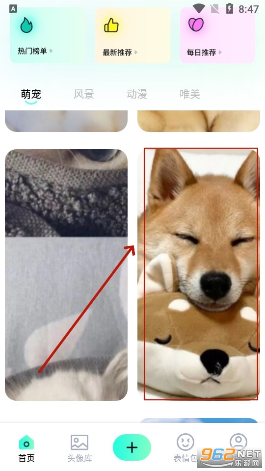 shaft��ֽ