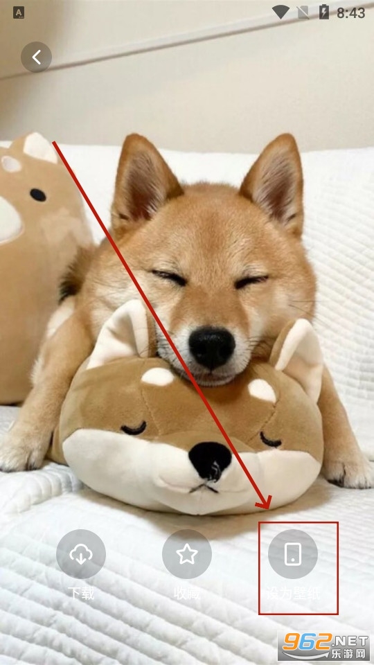 shaft��ֽ