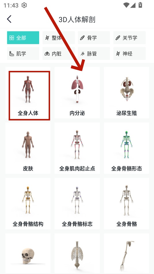 掌上3d解剖 掌上3d解剖
