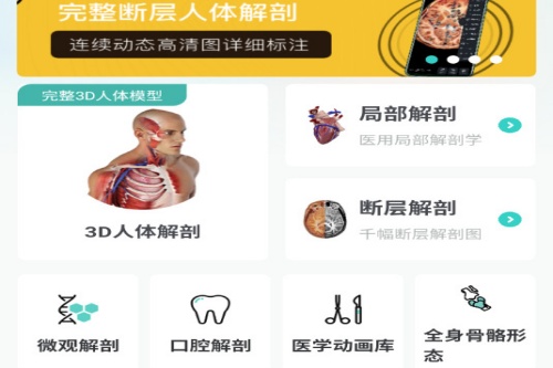 掌上3d解剖 掌上3d解剖