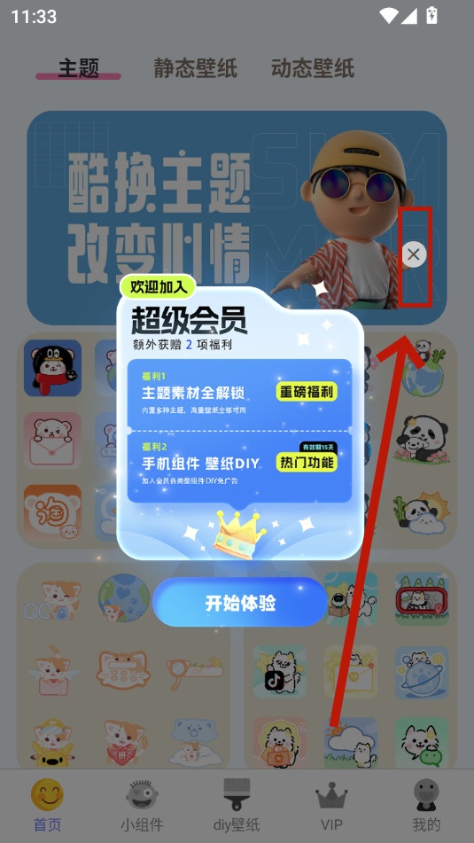kiki�����ֽ