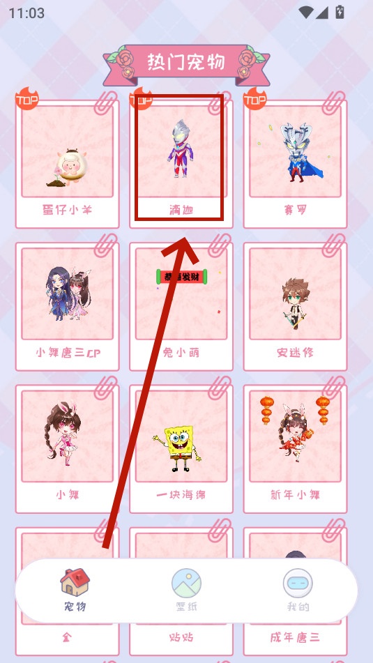 ���������app