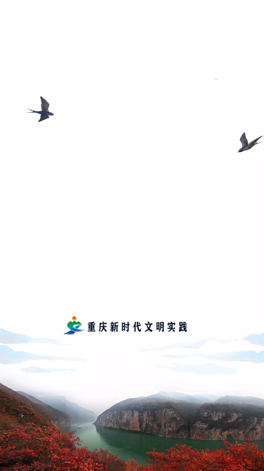 重庆文明实践云平台截图9