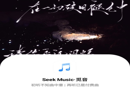 觅音音乐app(Seek Music) 觅音音乐app(Seek Music)