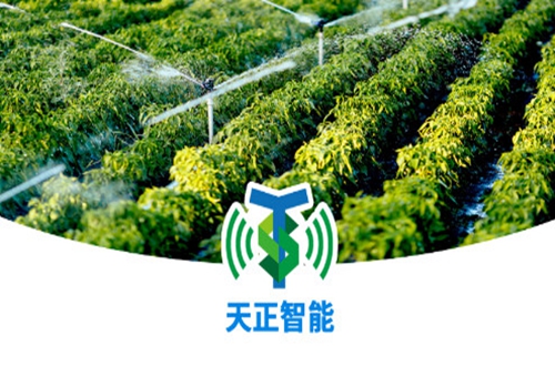 ��������APP�����ֻ���