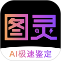 图灵鉴定ai鉴定软件