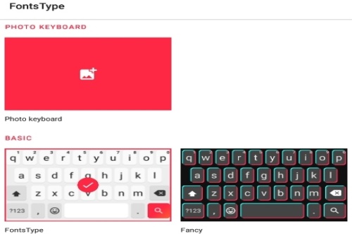 FontsType