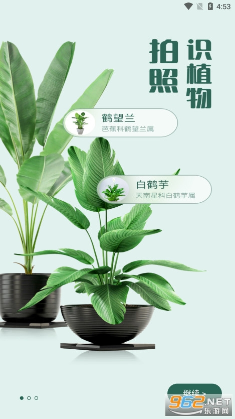 ʶ����app(����ʶ��ֲ��)��ͼ3